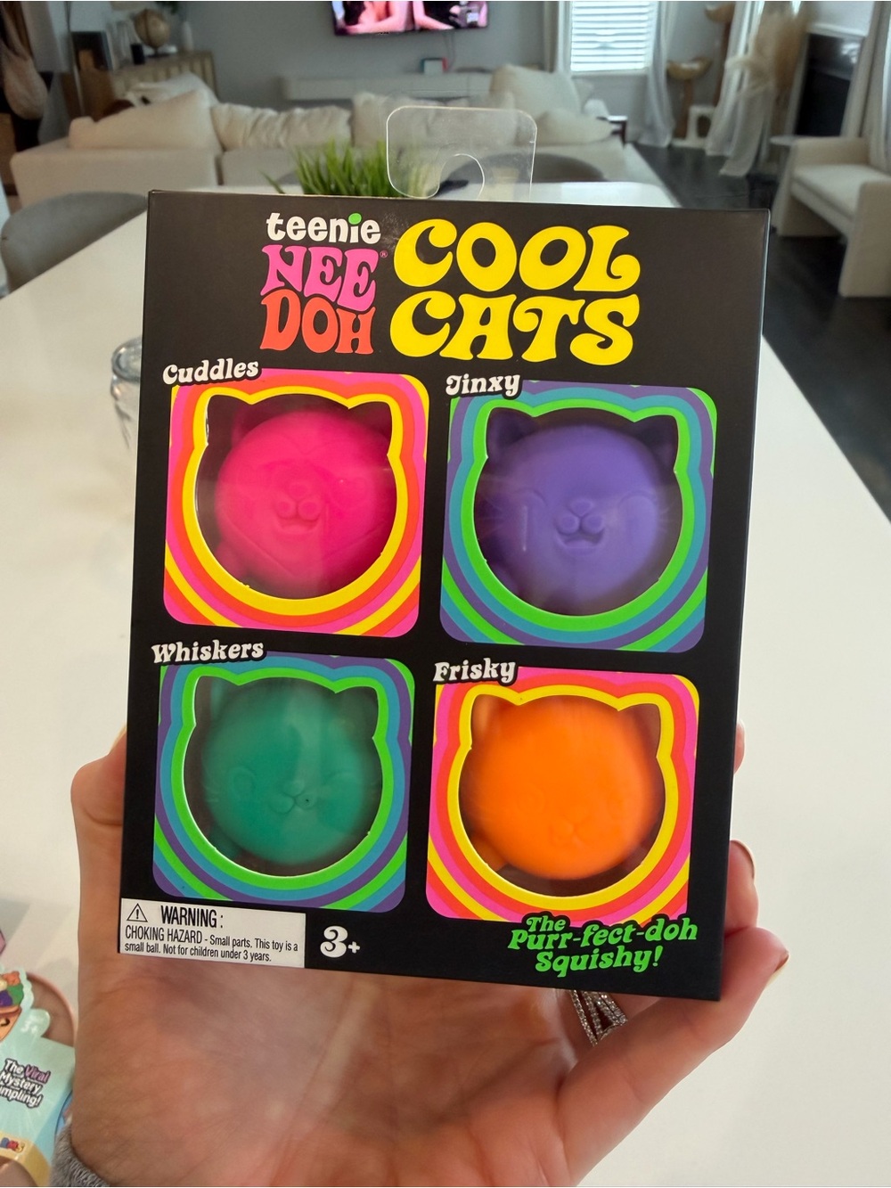 teenie NEE DOH Cool Cats 4-Pack - Pink, Purple, Green, Orange Squishy Toys